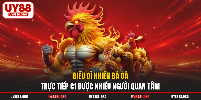 Điều gì khiến đá gà trực tiếp C1 được nhiều người quan tâm Điều gì khiến đá gà trực tiếp C1 được nhiều người quan tâm